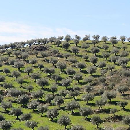 Agroturismo Casal De Castro Avantos Eksteriør billede
